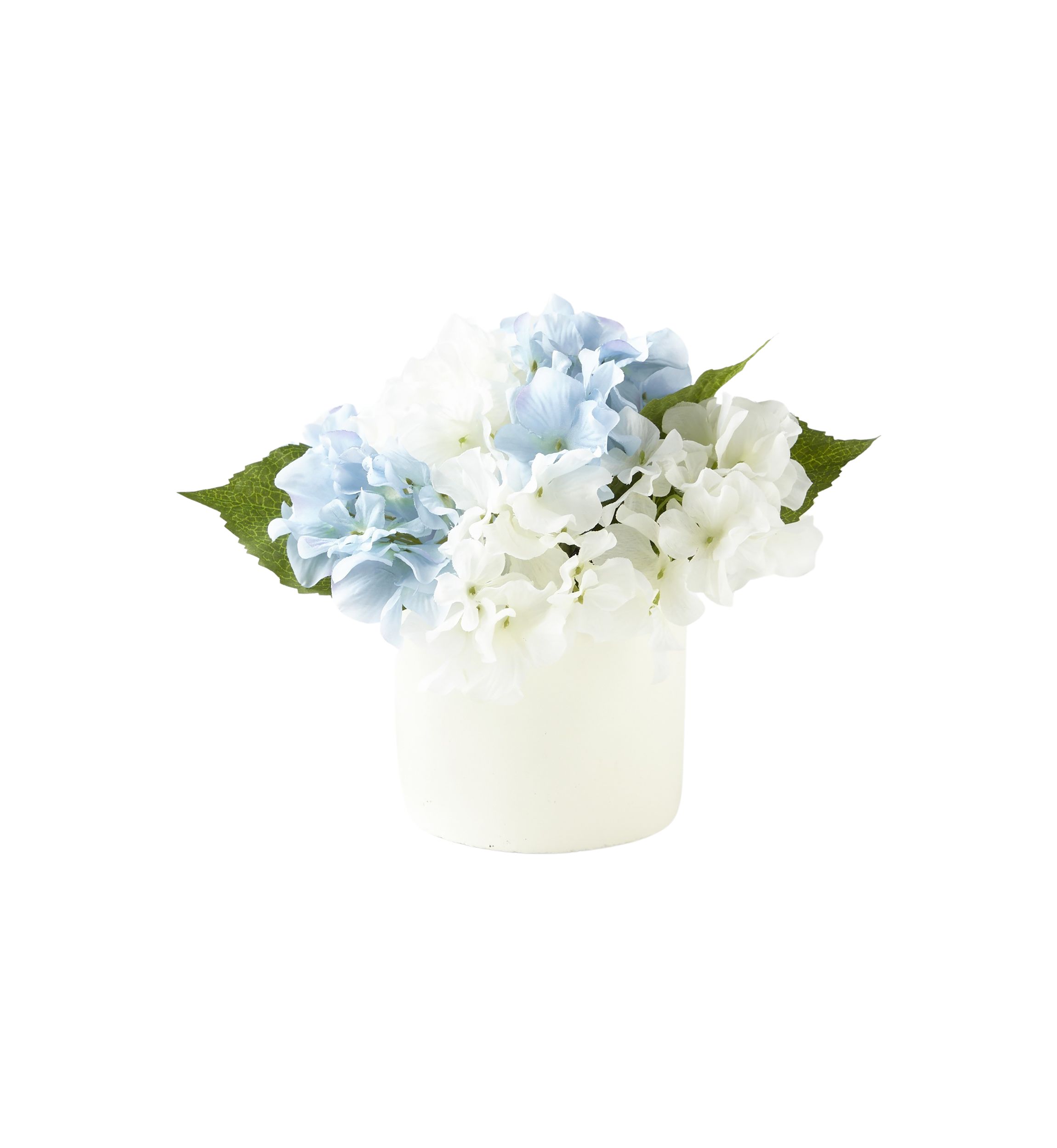 Hydrangea Sitabout