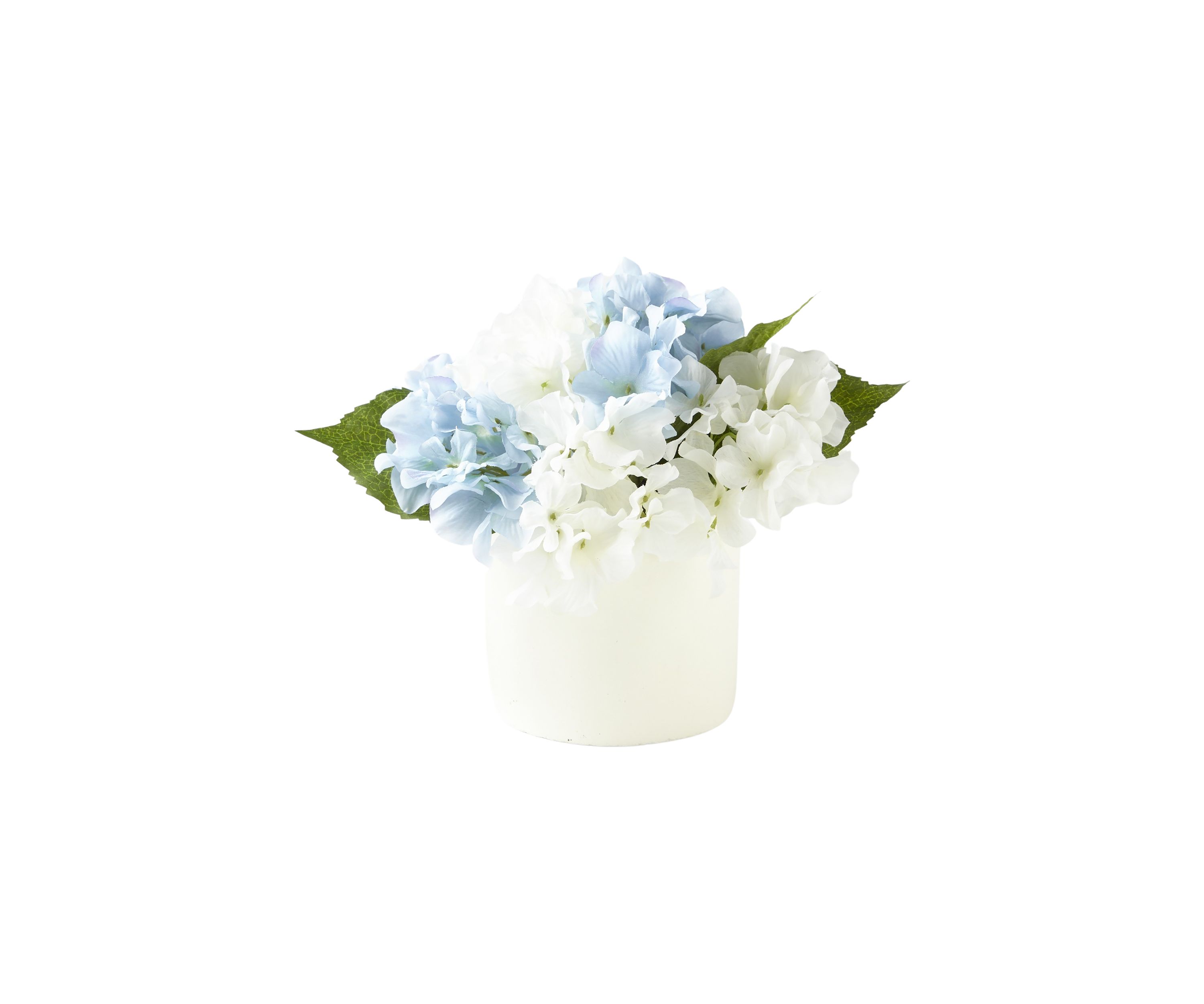Hydrangea Sitabout