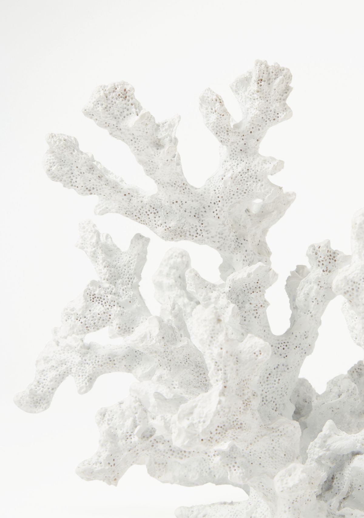 White Coral Standing Décor