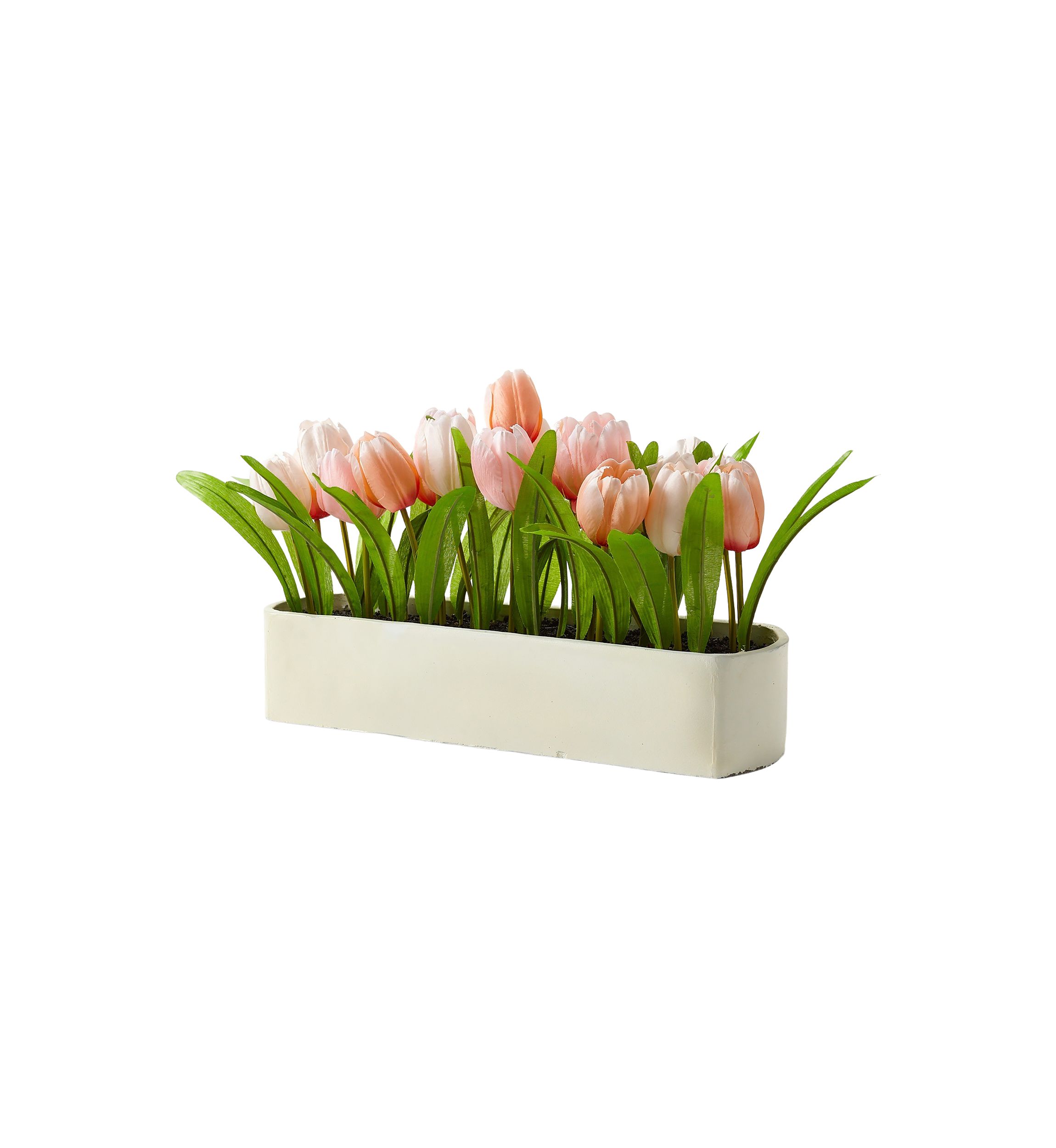 Tulip Sitabout 