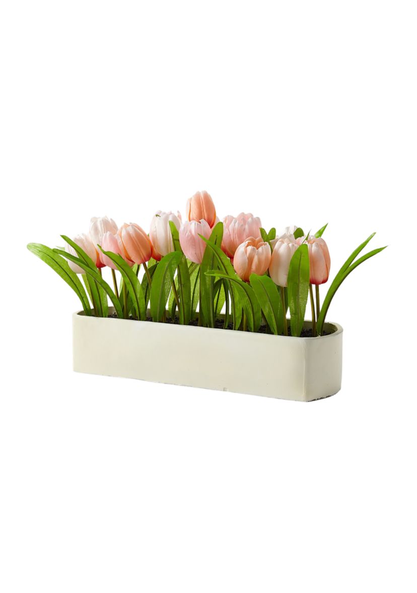 Tulip Sitabout 