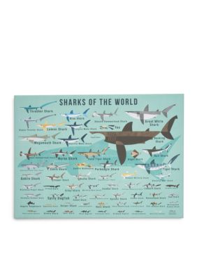 Lightning Bug Sharks Of The World Canvas 