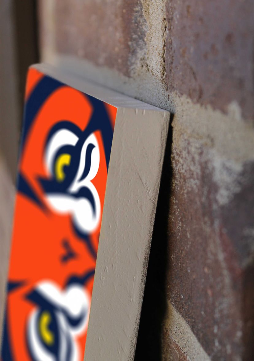 NCAA Auburn Tigers  Porch Greeter