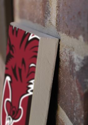 NCAA South Carolina Gamecocks Porch Greeter