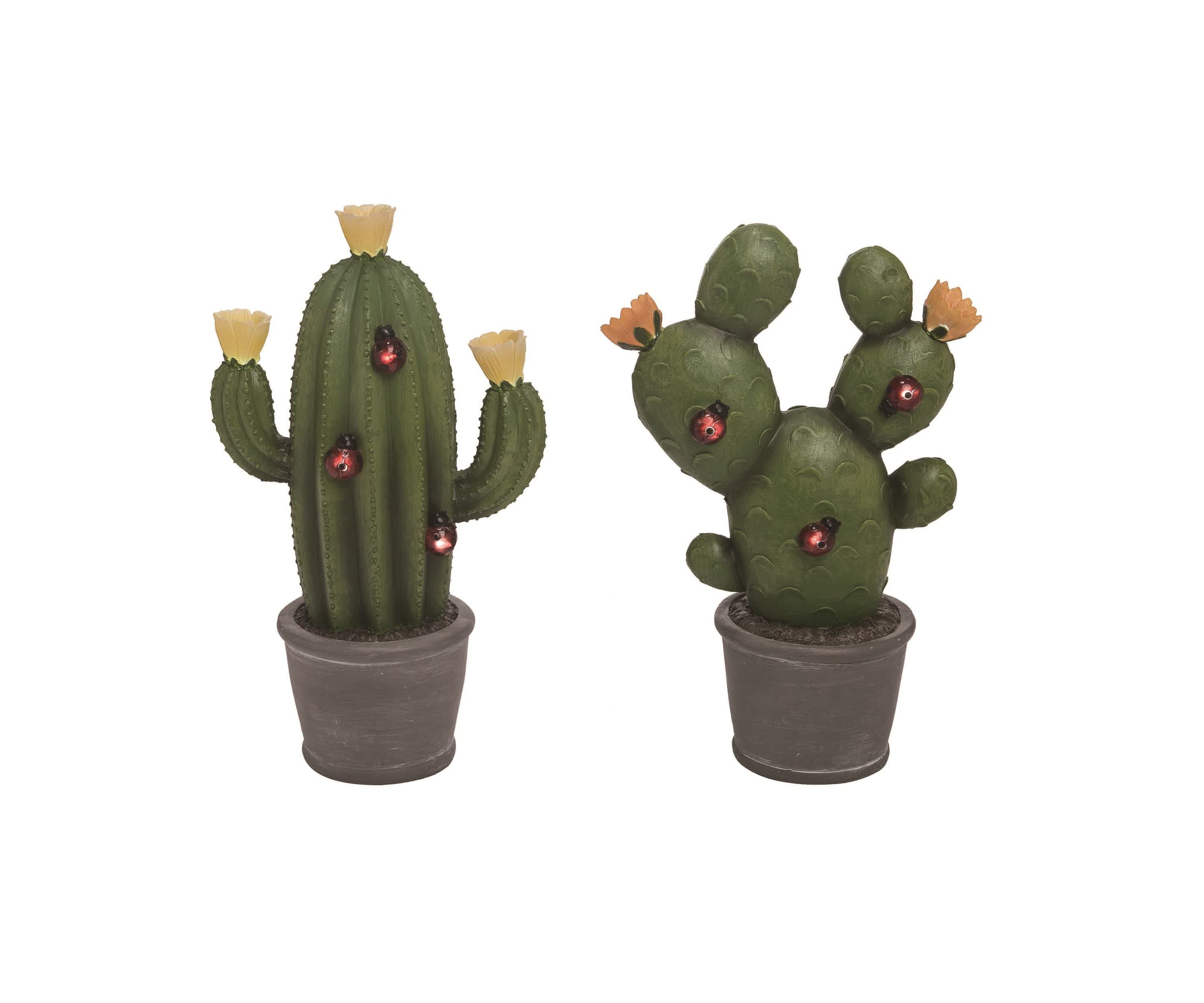 Transpac Resin Solar Cactus Set of 2 Home Decorations Spring