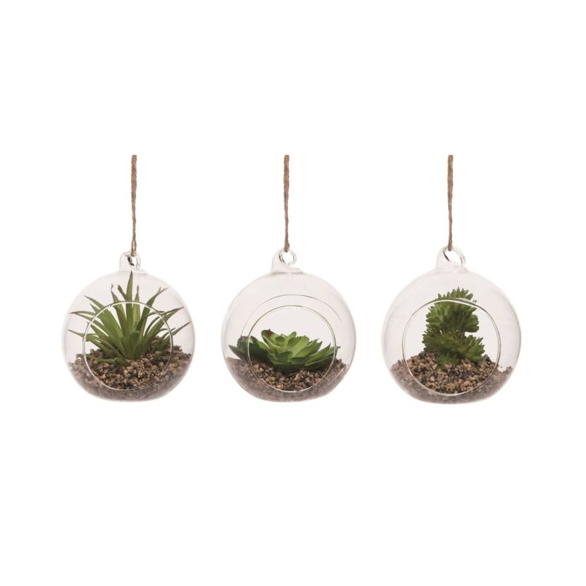 Transpac Large /Plastic Hanging Succulent Set of 3 Spring Home Decorations