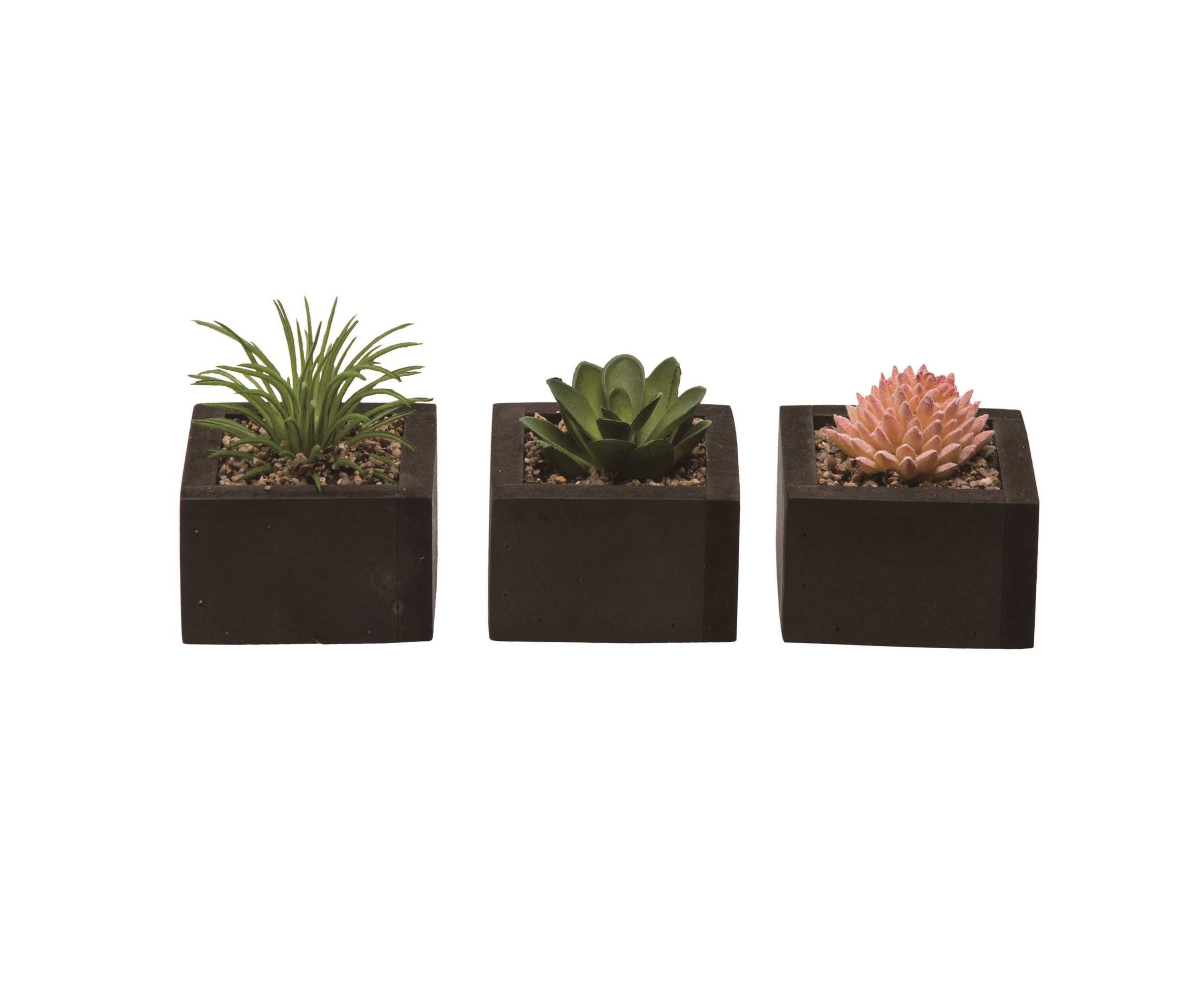 Transpac Square Faux Succulent in Container Set of 3 Spring Home Decorations