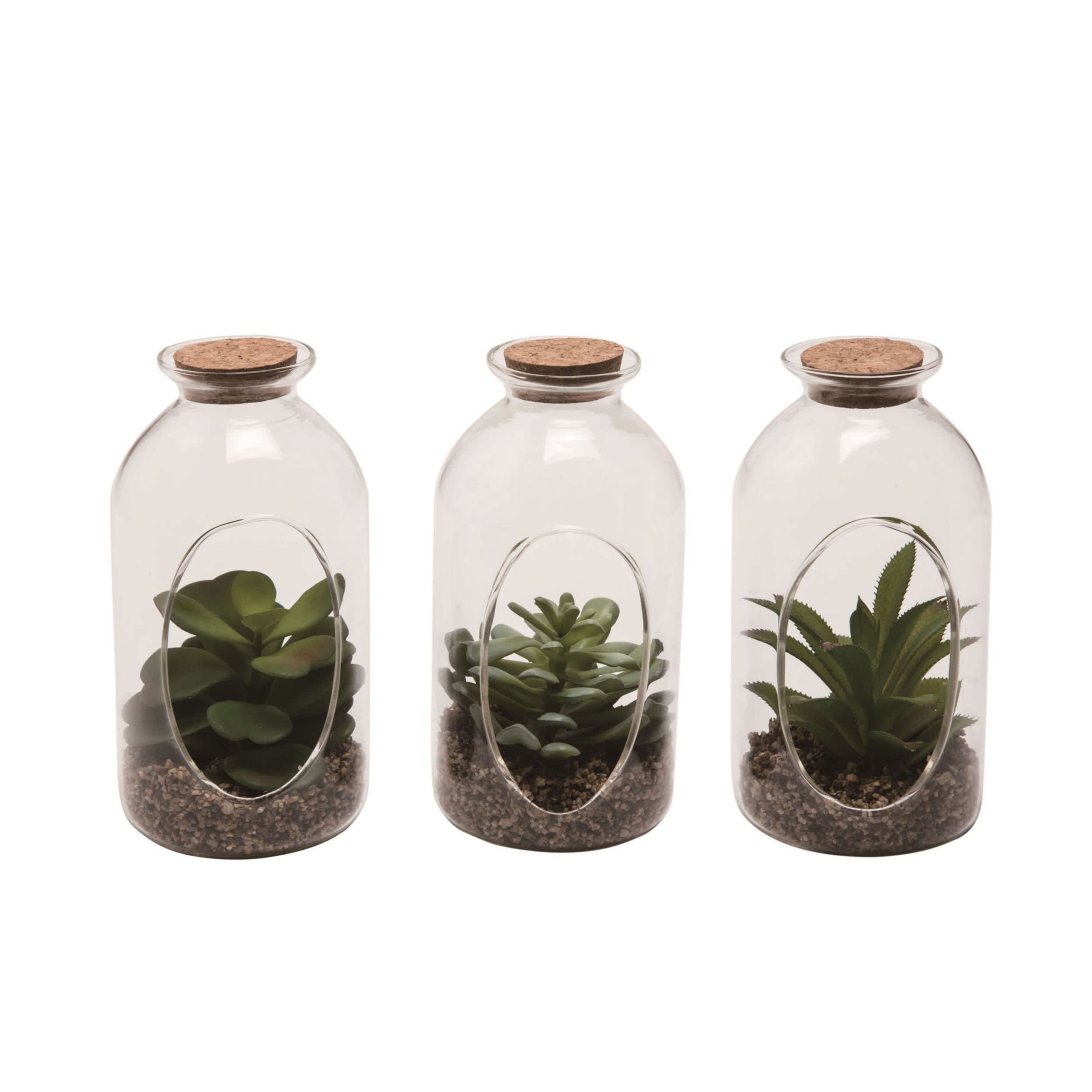Transpac Top Faux Succulent Bottle Set of 3 Spring Home Decorations