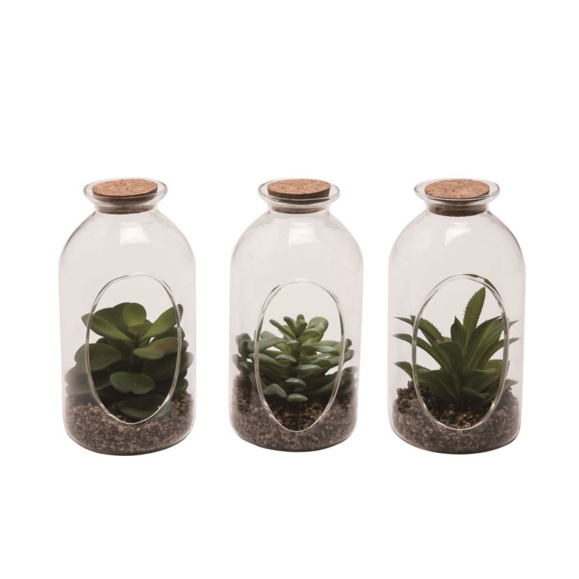 Transpac Top Faux Succulent Bottle Set of 3 Spring Home Decorations