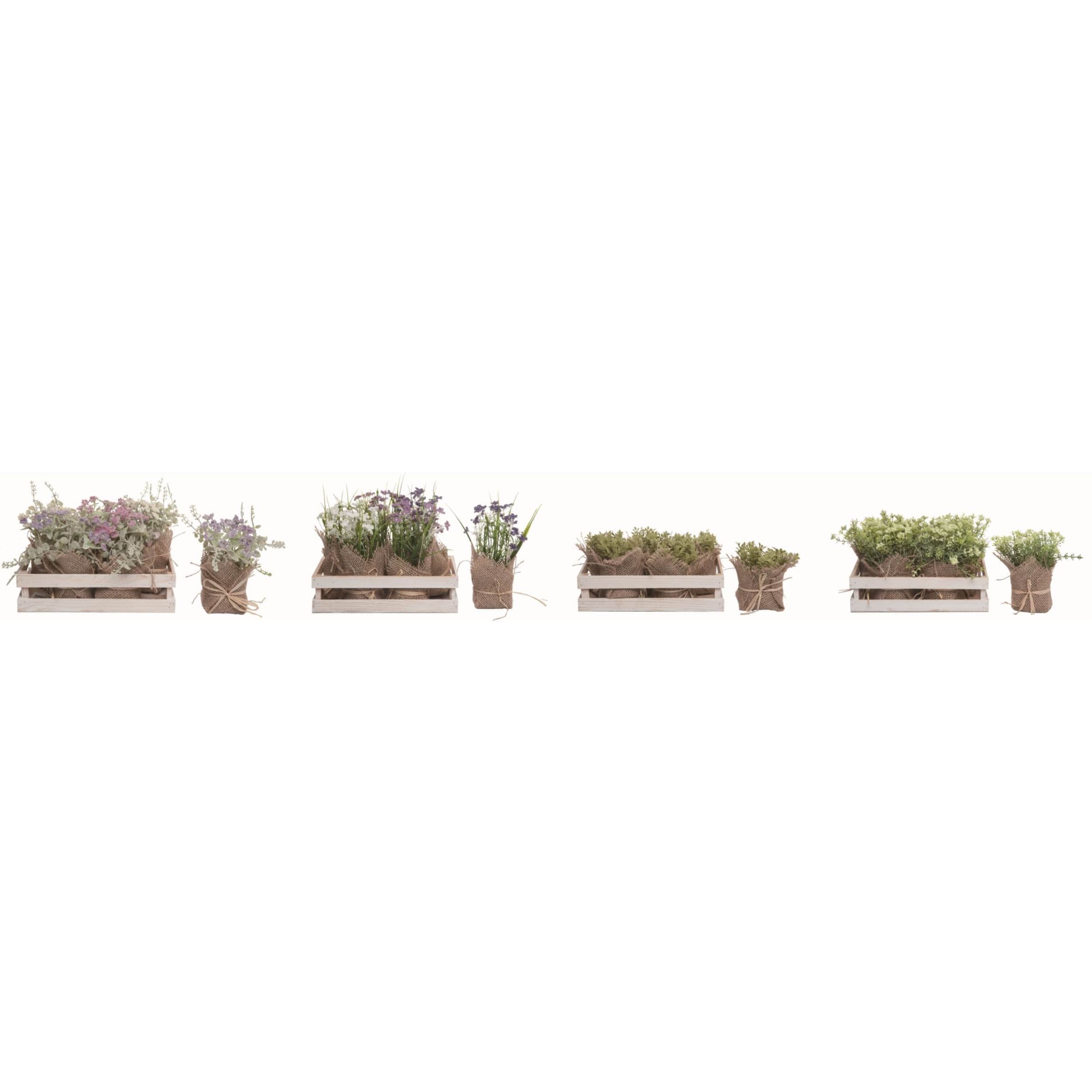 Transpac Country Greens in Crate Set of 4 Spring Home Decorations