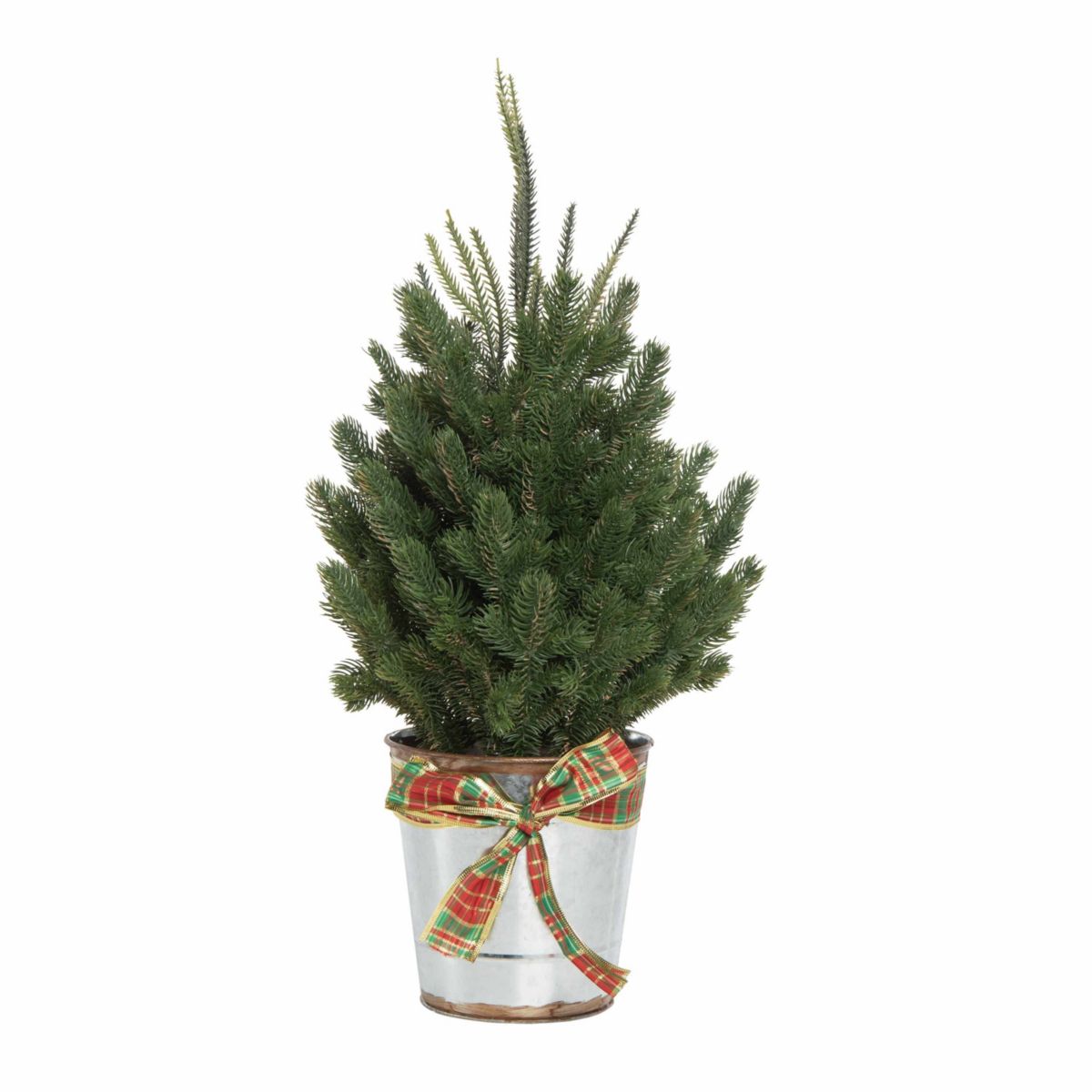 Transpac Christmas Large Holiday Tree in Metal Bucket