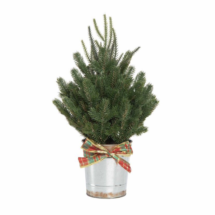 Transpac Christmas Small Holiday Tree in Metal Bucket