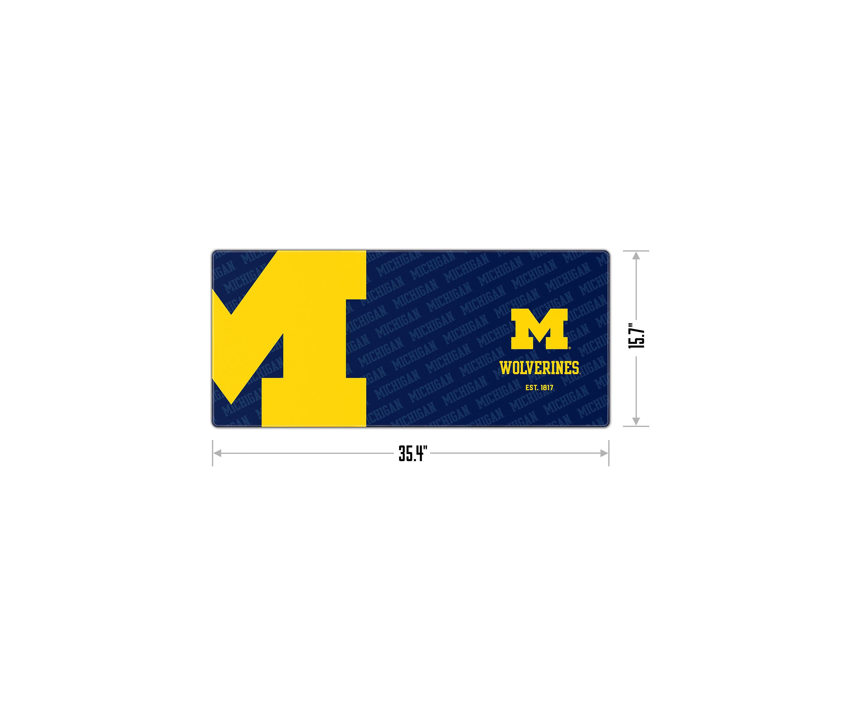 YouTheFan NCAA Michigan Wolverines Logo Series Desk Pad
