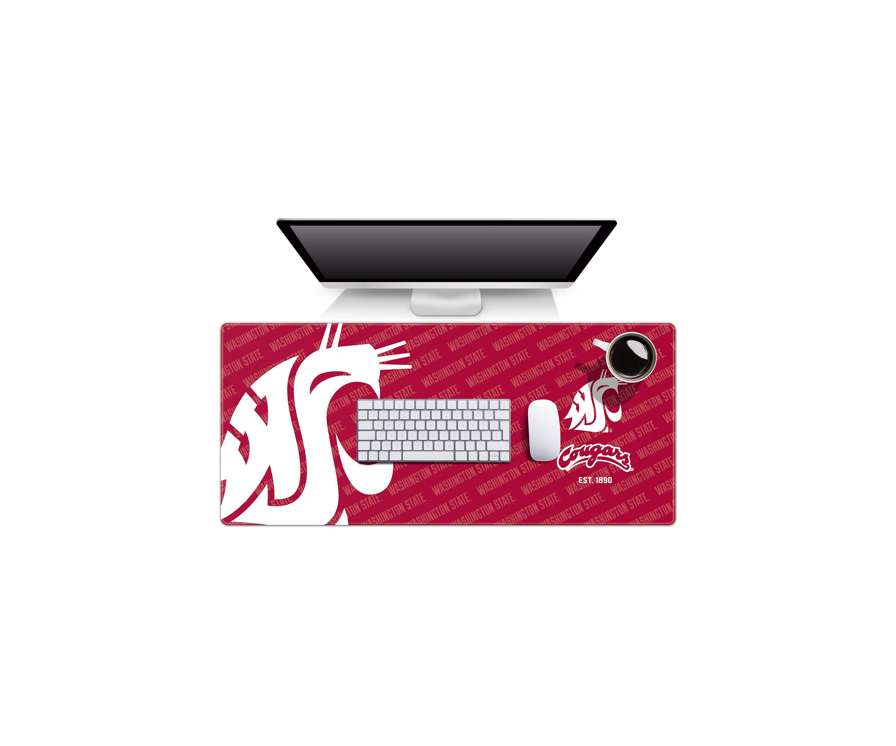 YouTheFan NCAA Washington Huskies Logo Series Desk Pad