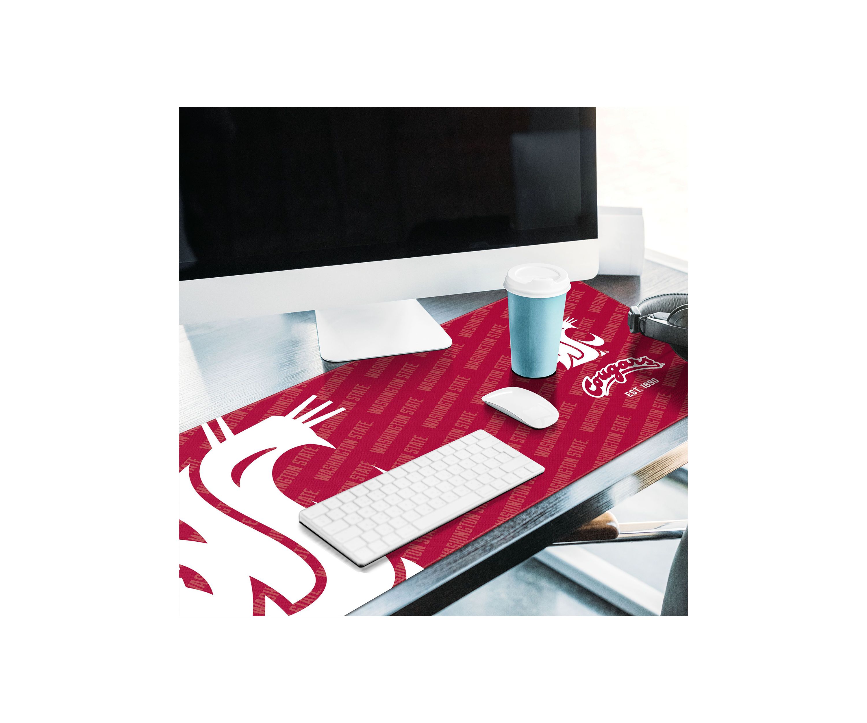 YouTheFan NCAA Washington Huskies Logo Series Desk Pad