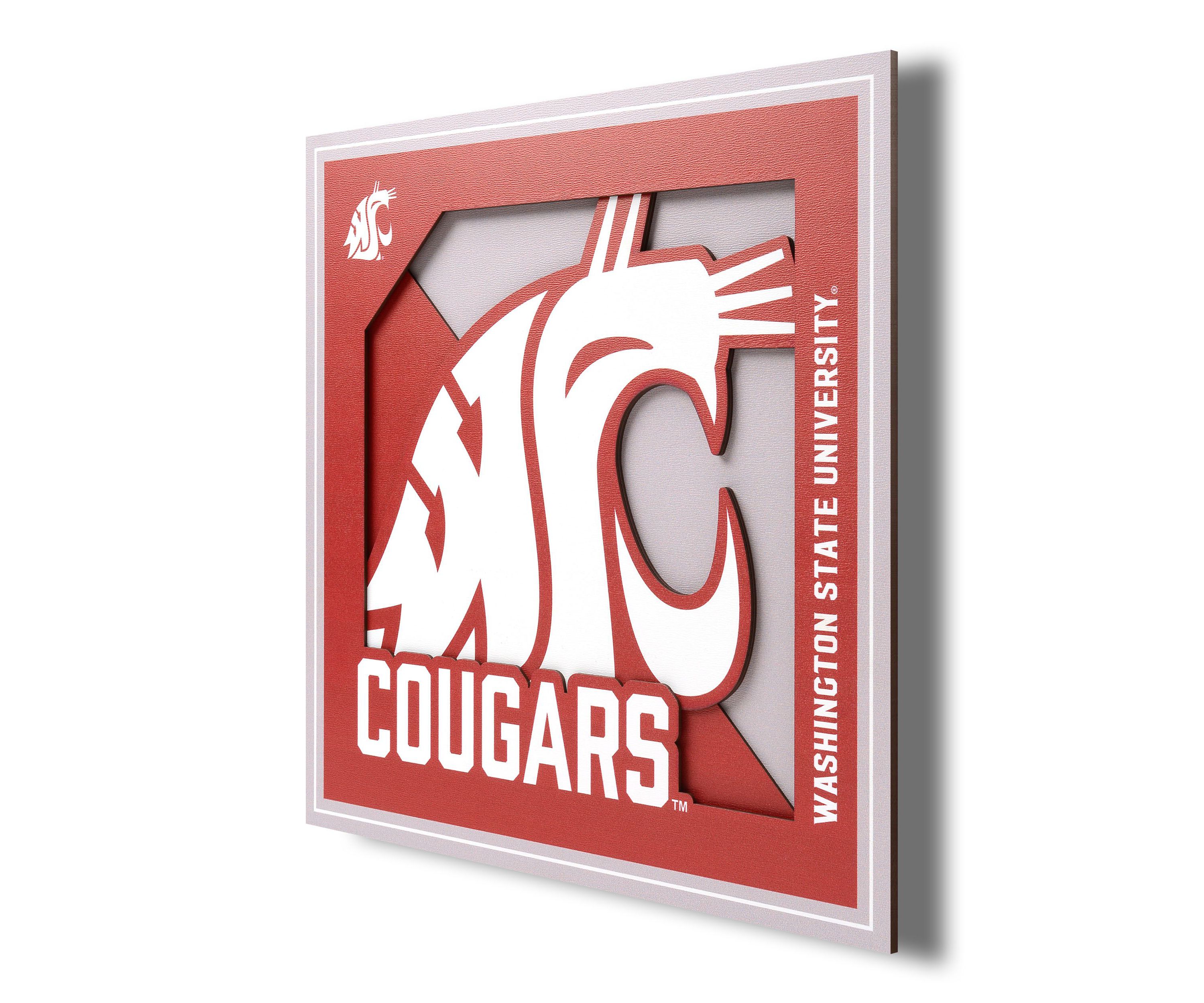 YouTheFan NCAA Washington State Cougars 3D Logo Series Wall Art - 12x12