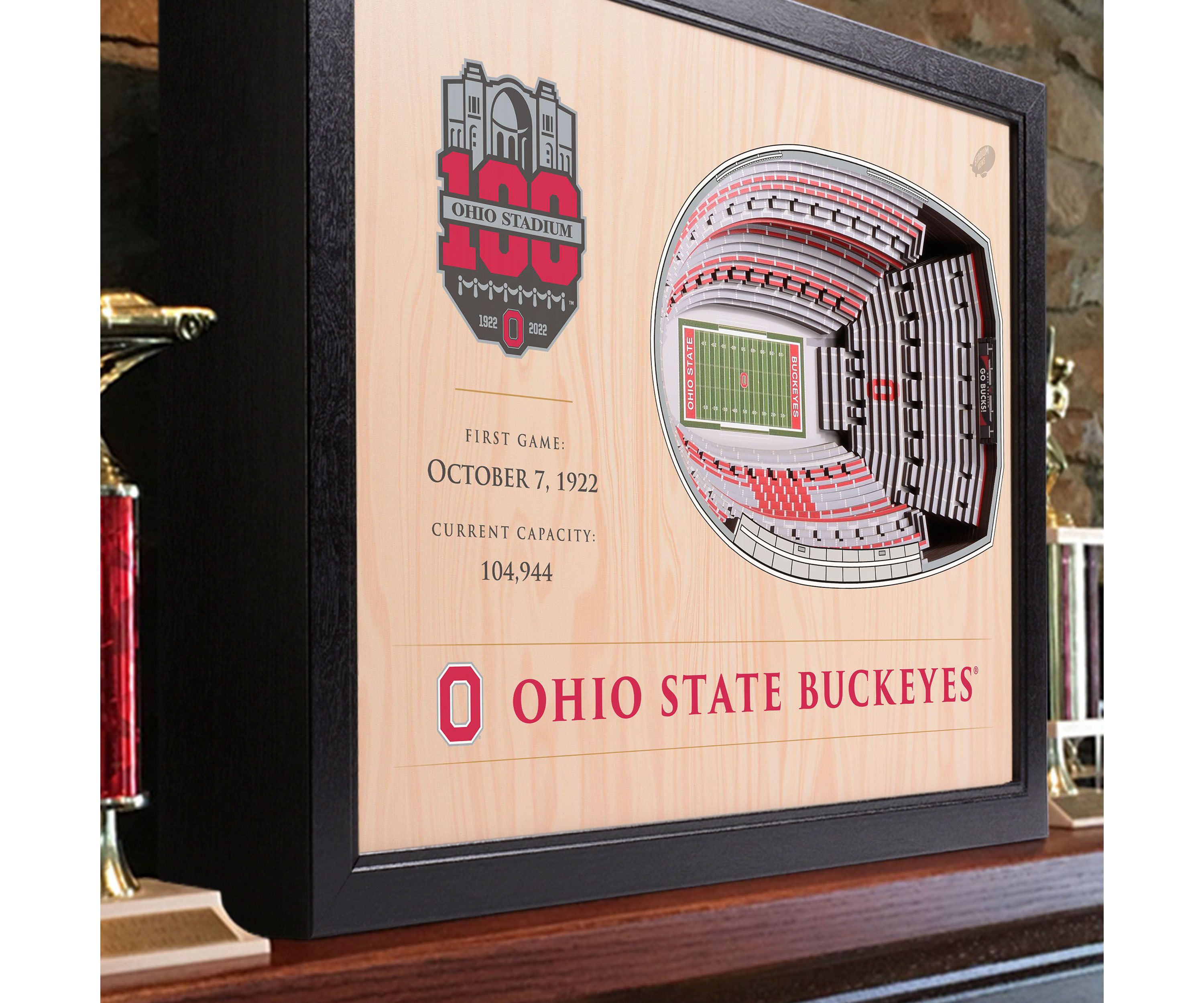 YouTheFan NCAA Ohio State Buckeyes 100th 25-Layer StadiumViews 3D Wall Art - Ohio Stadium