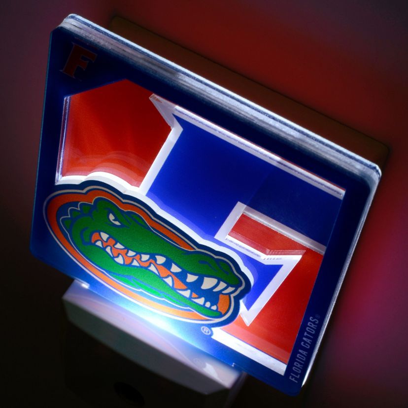 YouTheFan NCAA Auburn Tigers StadiumView Nite Light