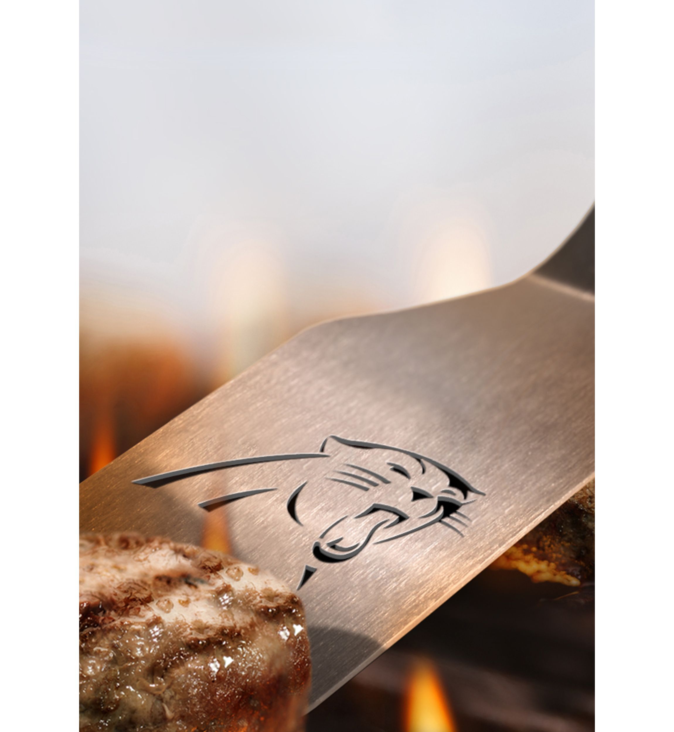 YouTheFan NFL Carolina Panthers Classic Series Sportula