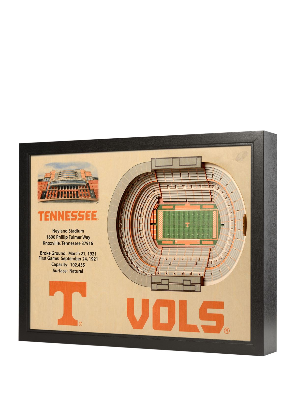 YouTheFan NCAA Tennessee Volunteers 25-Layer StadiumViews 3D Wall Art - Neyland Stadium