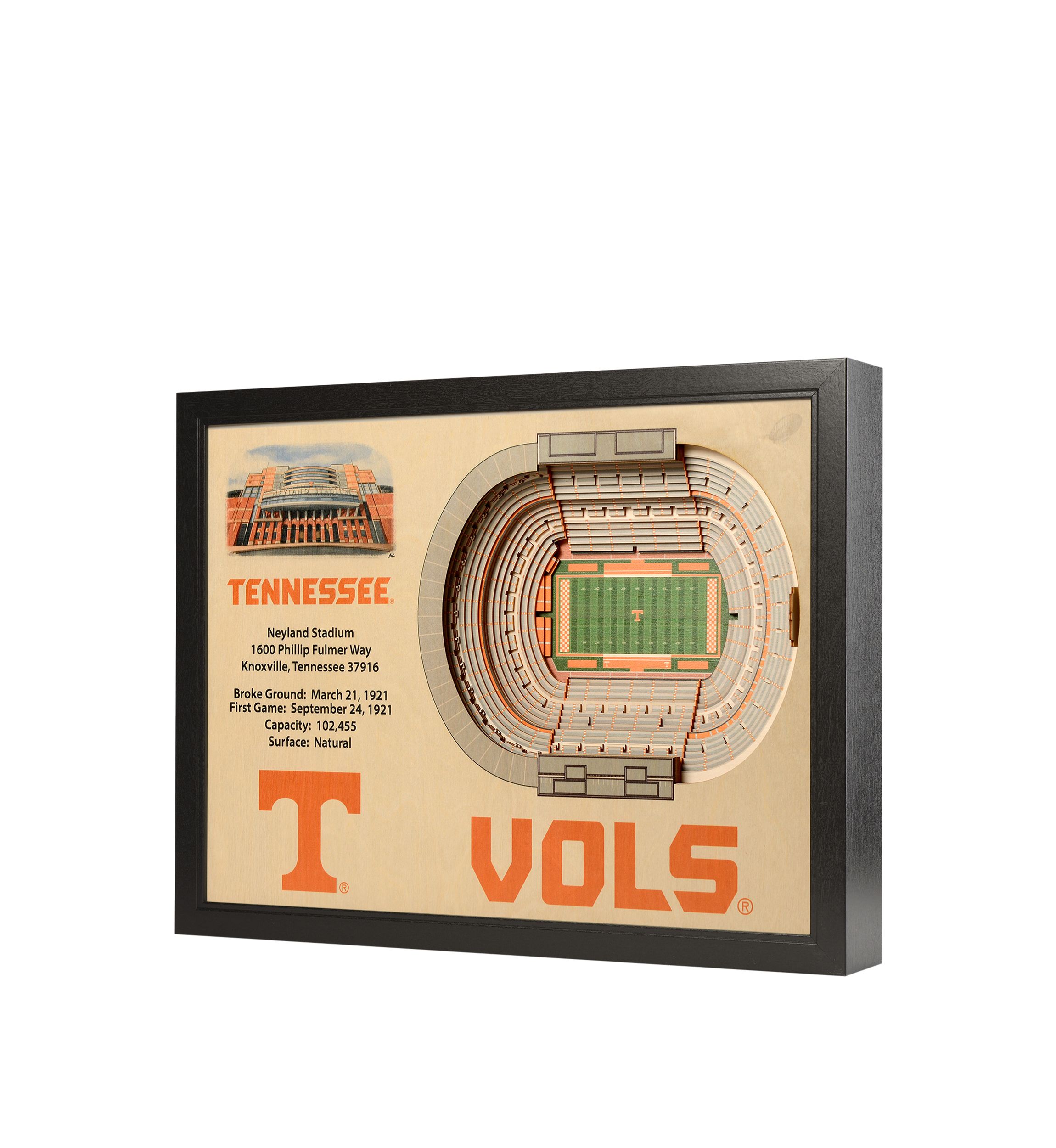 YouTheFan NCAA Tennessee Volunteers 25-Layer StadiumViews 3D Wall Art - Neyland Stadium