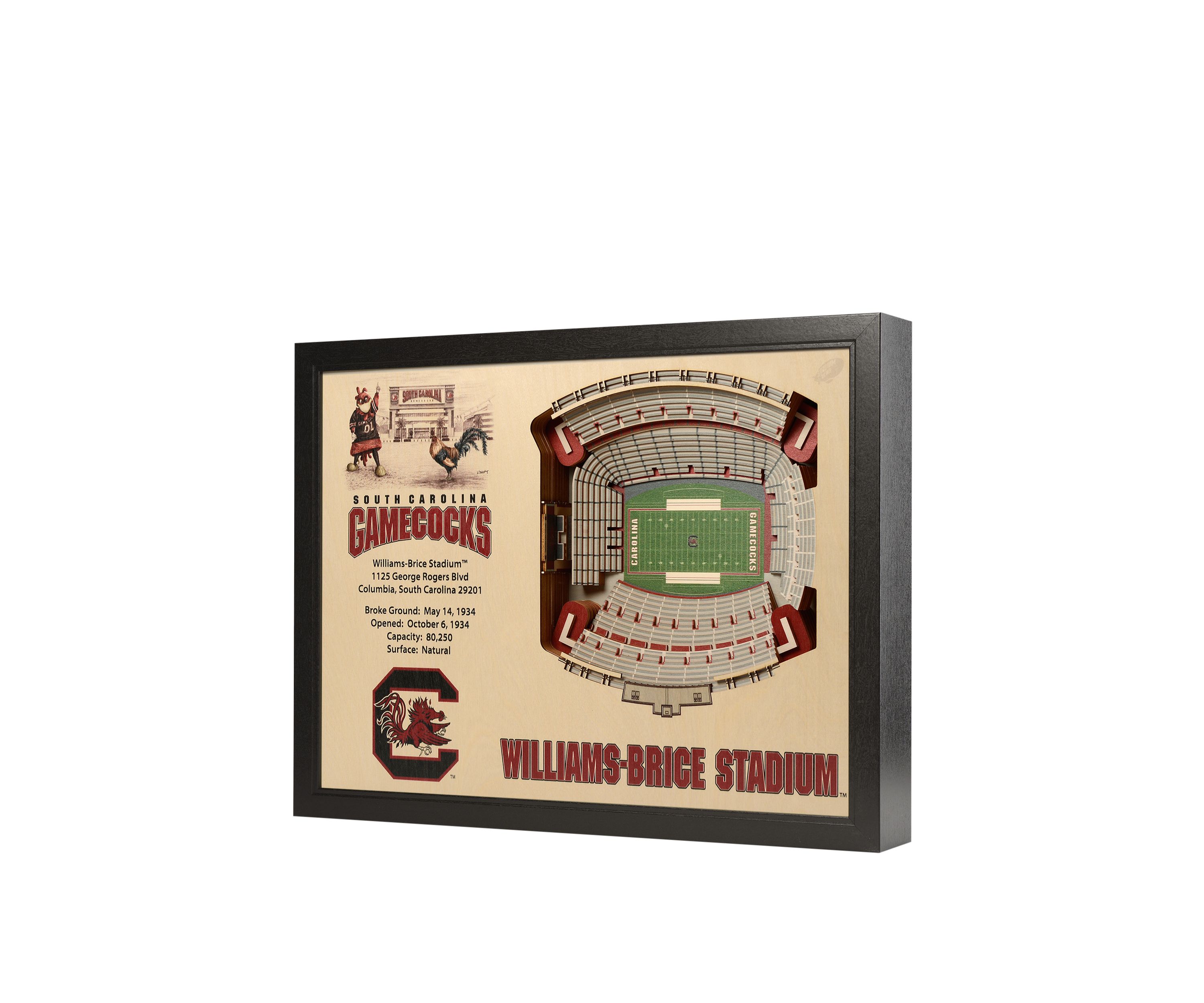 YouTheFan NCAA South Carolina Gamecocks 25-Layer StadiumViews 3D Wall Art - Williams-Brice Stadium