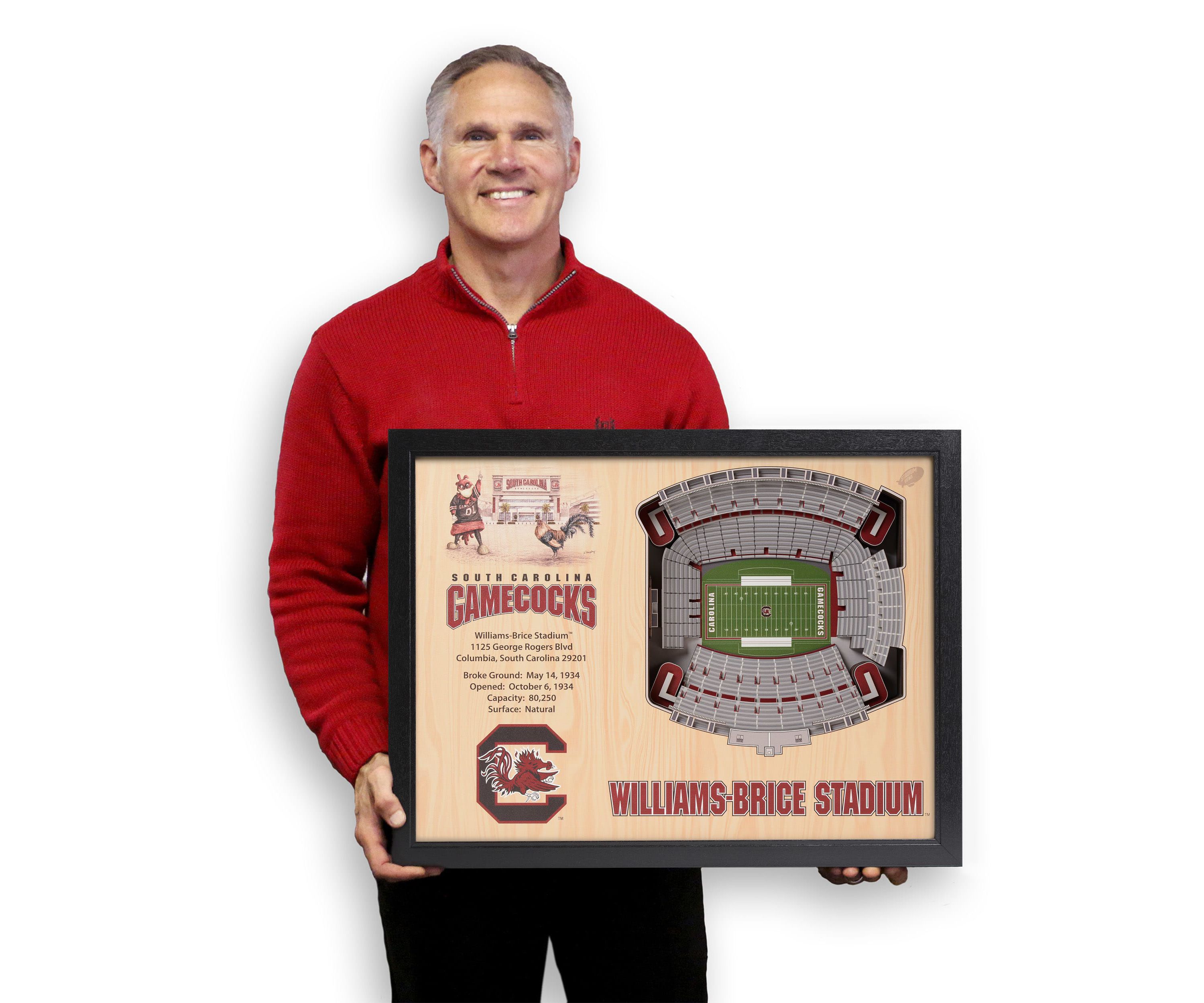 YouTheFan NCAA South Carolina Gamecocks 25-Layer StadiumViews 3D Wall Art - Williams-Brice Stadium