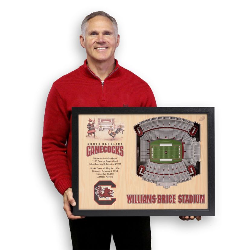 YouTheFan NCAA South Carolina Gamecocks 25-Layer StadiumViews 3D Wall Art - Williams-Brice Stadium
