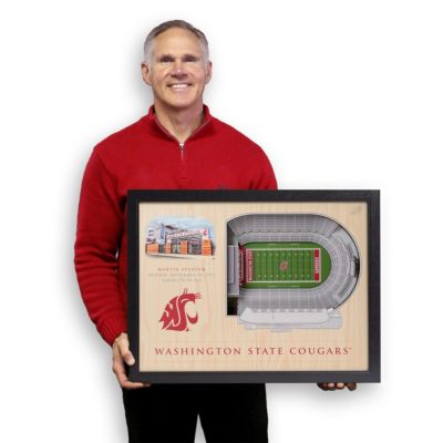 YouTheFan NCAA Washington State Cougars 25-Layer StadiumViews 3D Wall Art  - Martin Stadium