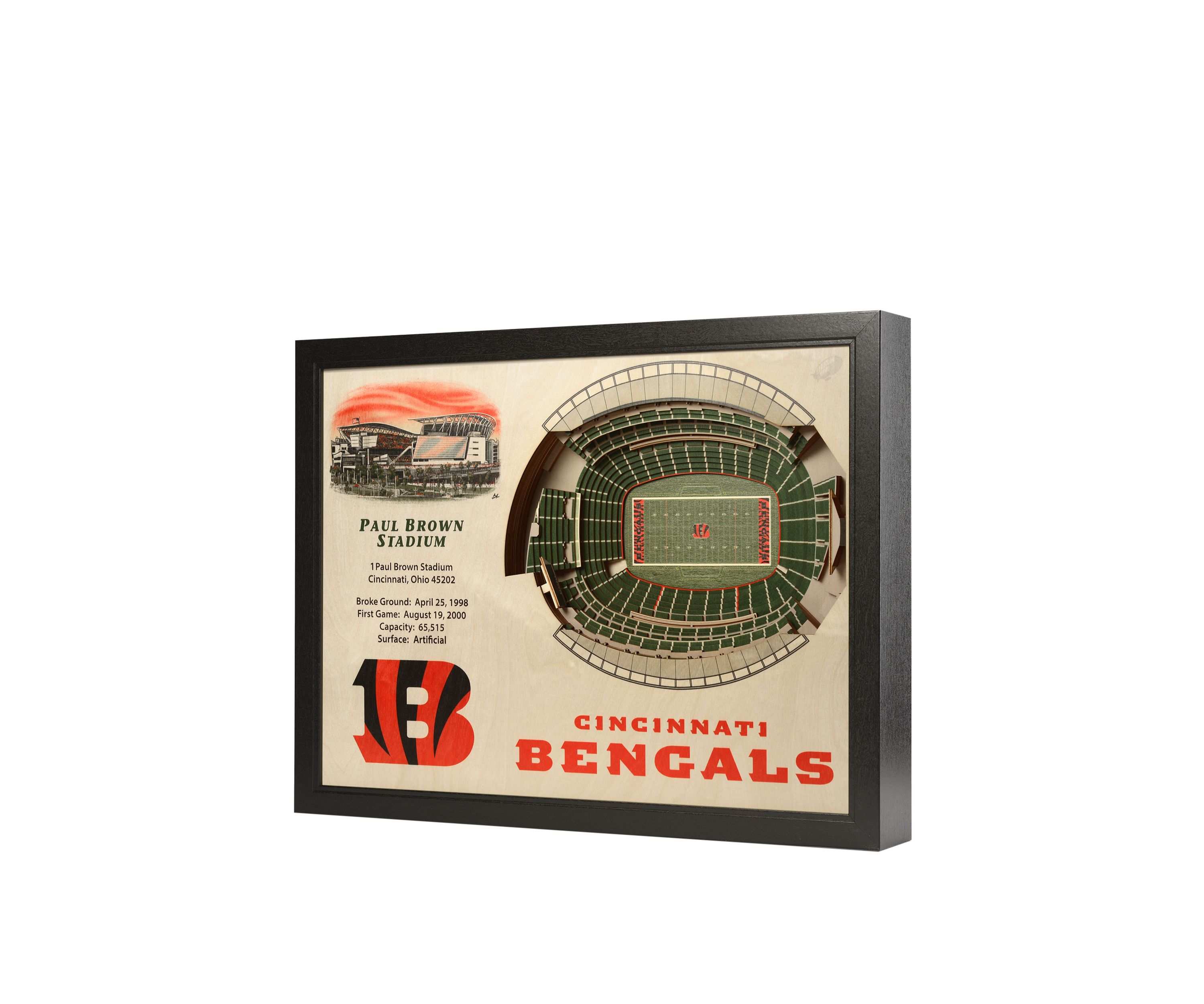 YouTheFan NFL Cincinnati Bengals 25-Layer StadiumViews 3D Wall Art - Paul Brown Stadium
