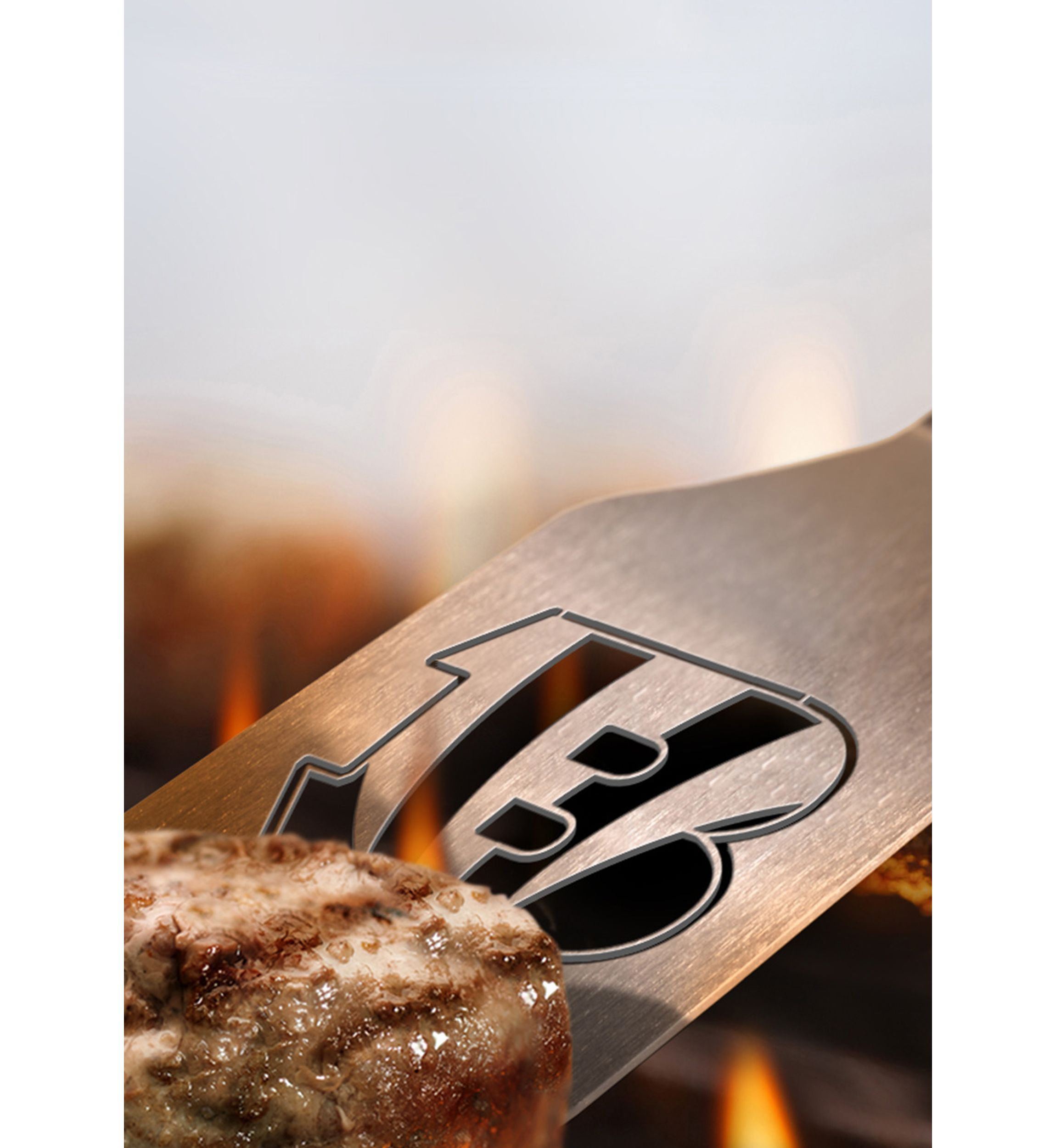 YouTheFan NFL Cincinnati Bengals Spirit Series Sportula
