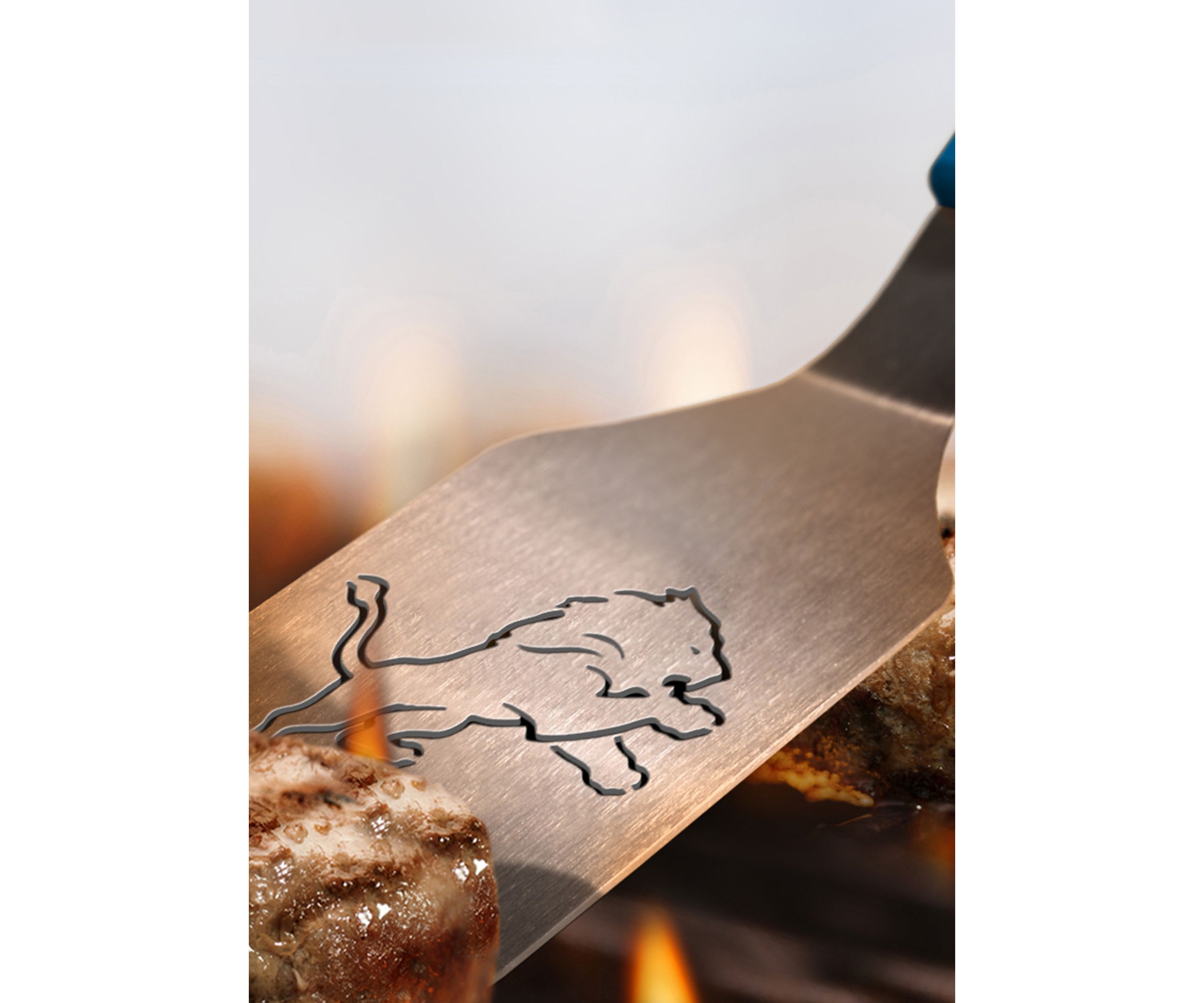 YouTheFan NFL Detroit Lions Spirit Series Sportula