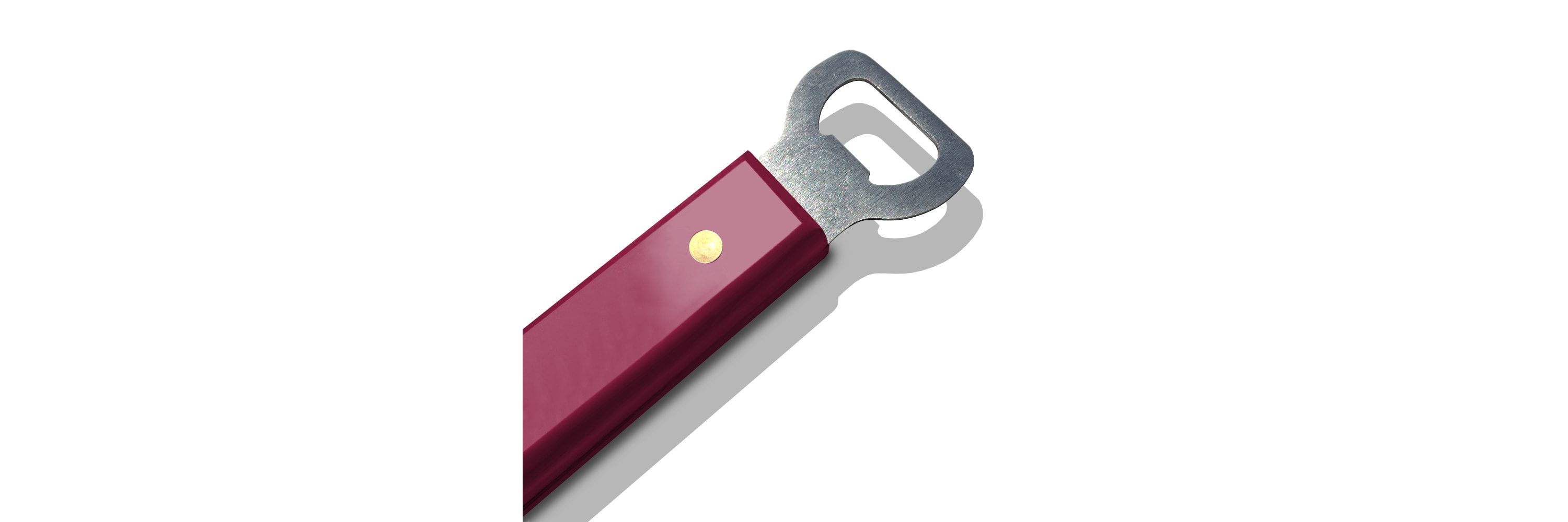 YouTheFan NCAA Minnesota Golden Gophers Spirit Series Sportula