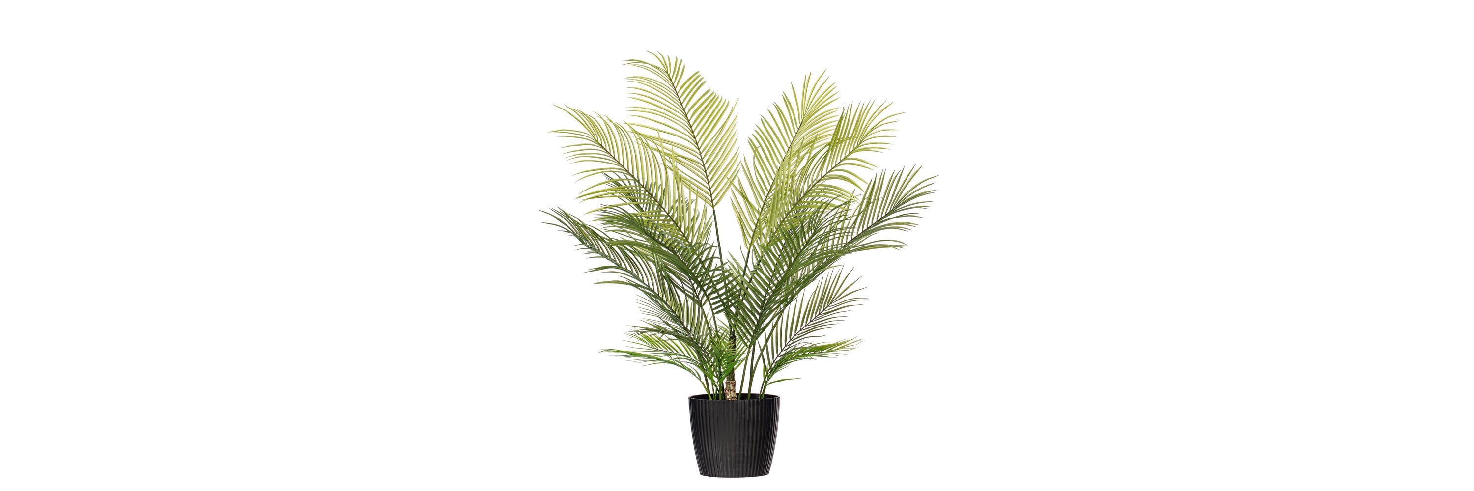 Vickerman 60" Green Areca Palm Plant. This is an artificial plant in a black plastic pot.
