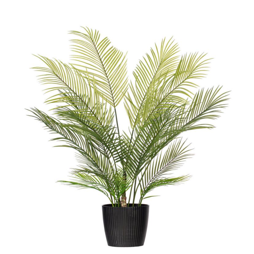 Vickerman 60" Green Areca Palm Plant. This is an artificial plant in a black plastic pot.