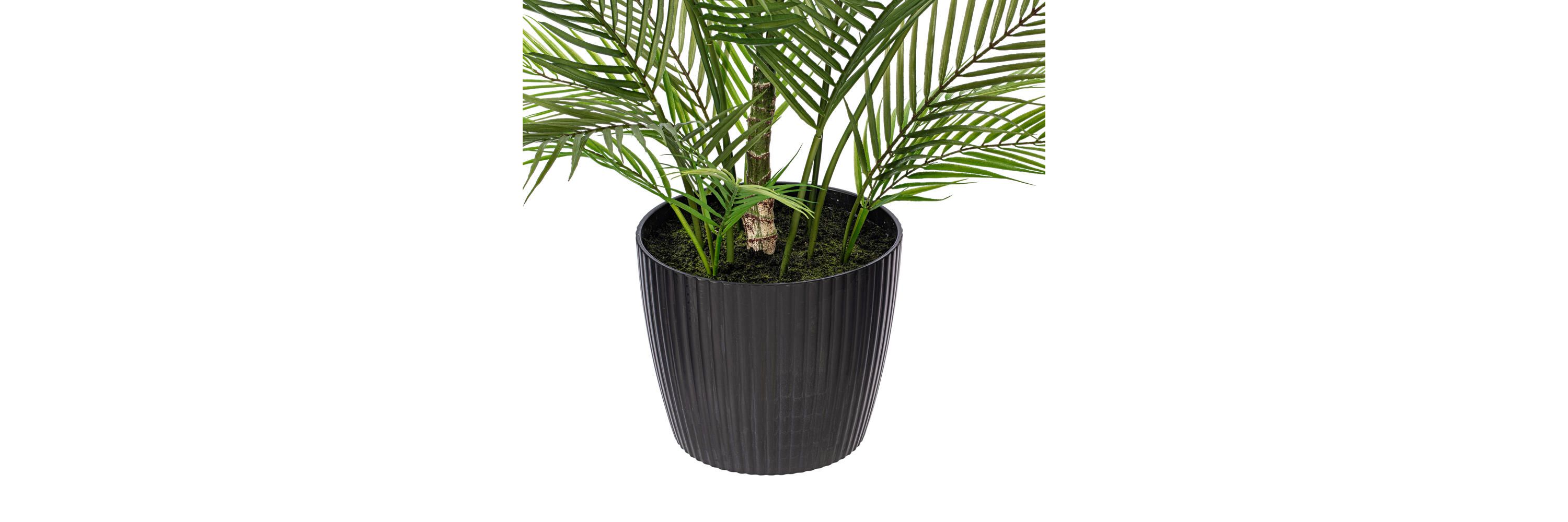 Vickerman 60" Green Areca Palm Plant. This is an artificial plant in a black plastic pot.