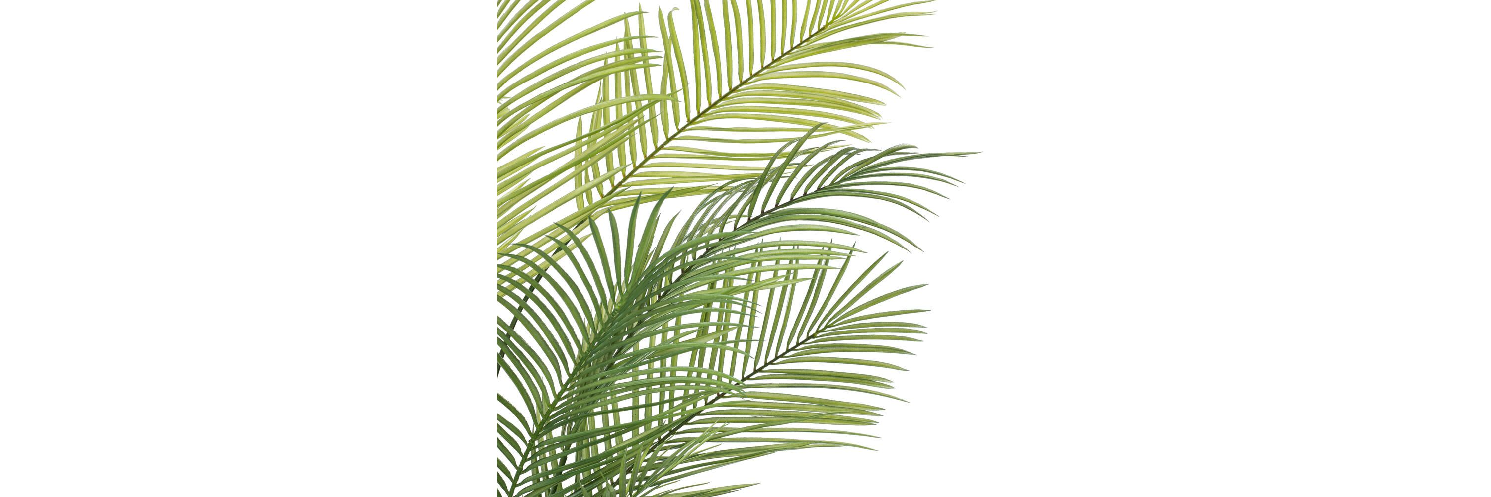 Vickerman 60" Green Areca Palm Plant. This is an artificial plant in a black plastic pot.