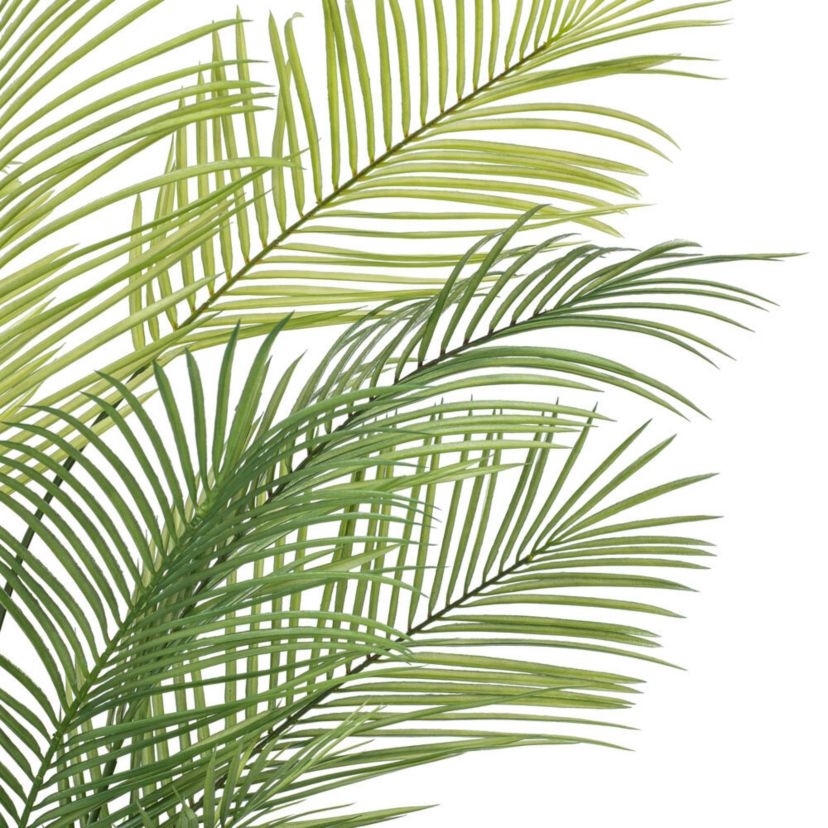 Vickerman 60" Green Areca Palm Plant. This is an artificial plant in a black plastic pot.