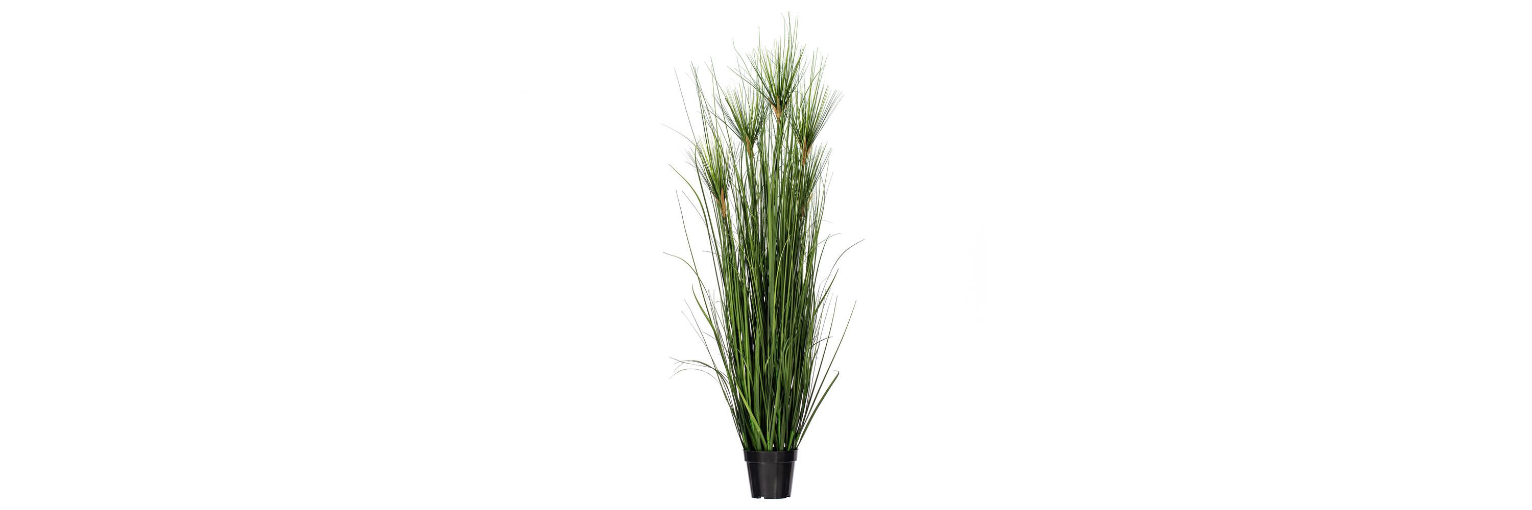 Vickerman 36" Artificial Potted Green Grass.