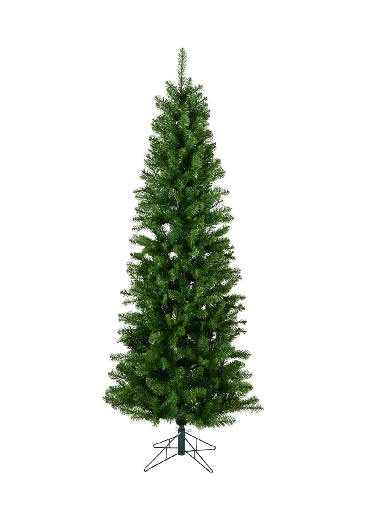 Pencil Pine Tree