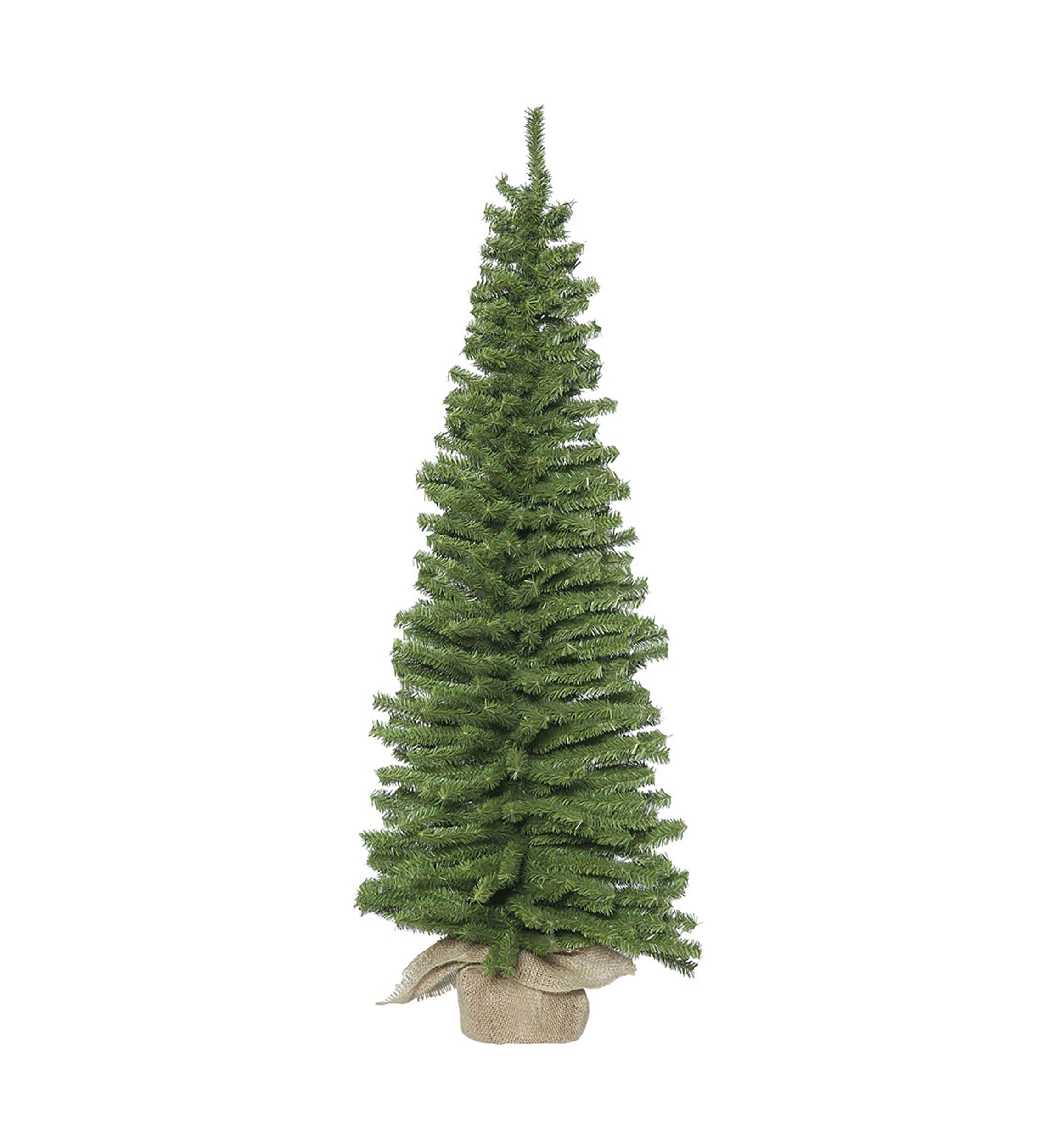 Pine Christmas Tree