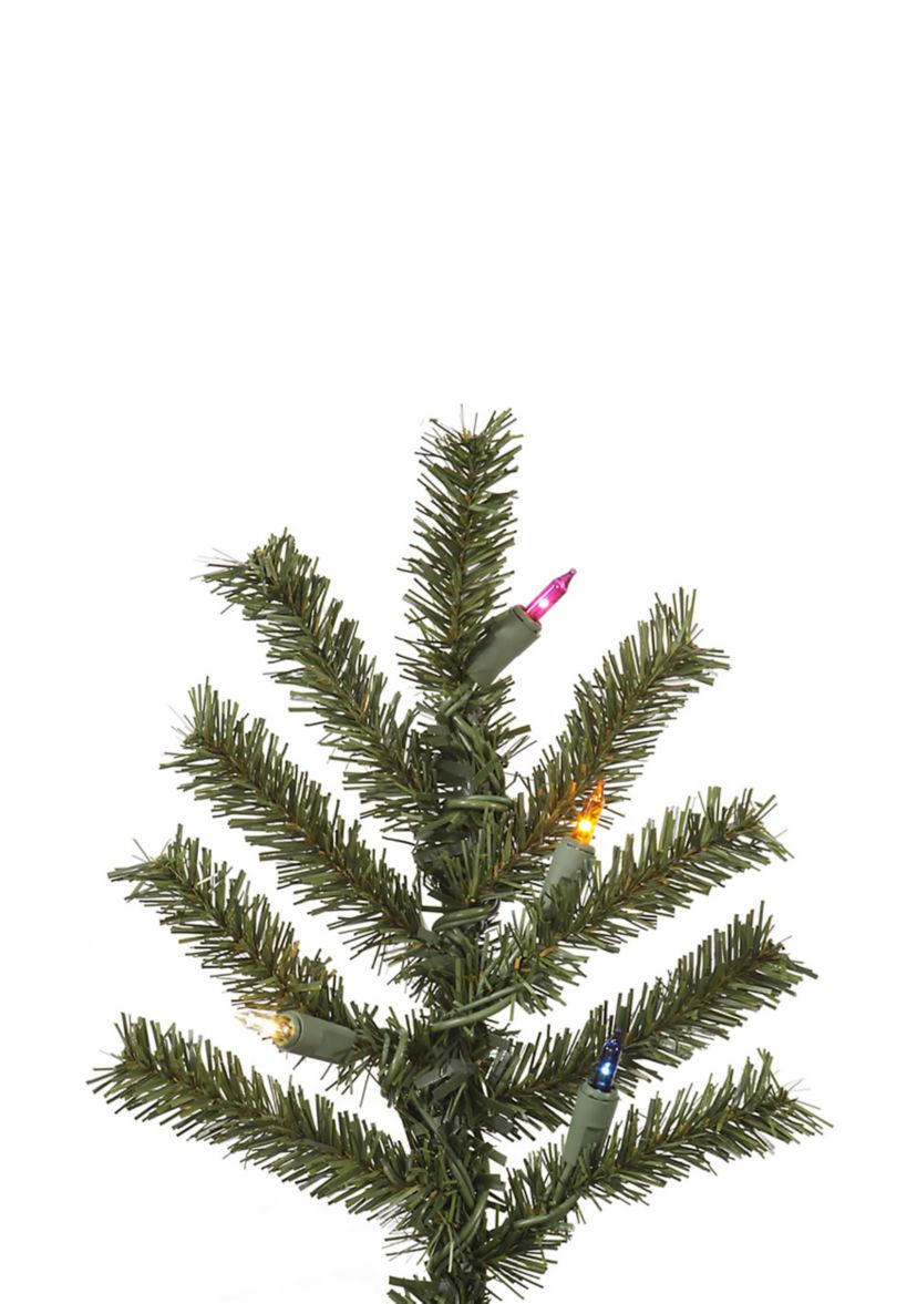 Natural Alpine Tree