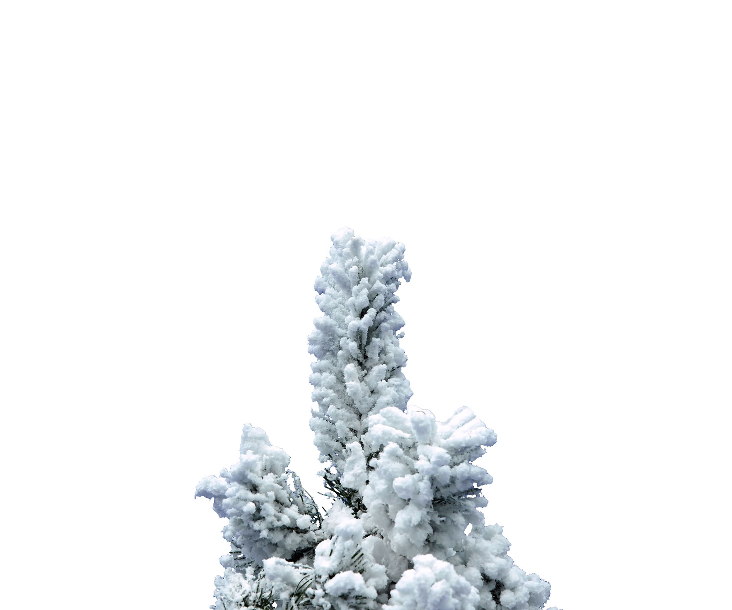 Flocked Alaskan Tree