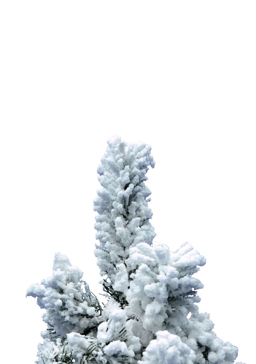Flocked Alaskan Tree