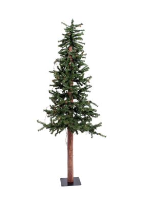 Vickerman 5' Alpine Artificial Christmas Tree, Unlit, Green