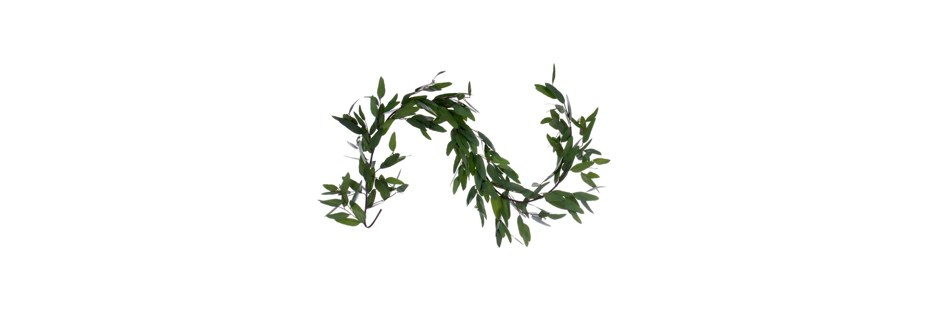 Vickerman 60" Artificial Green Seeded Willow Eucalyptus Garland
