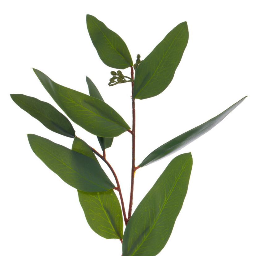 Vickerman 60" Artificial Green Seeded Willow Eucalyptus Garland