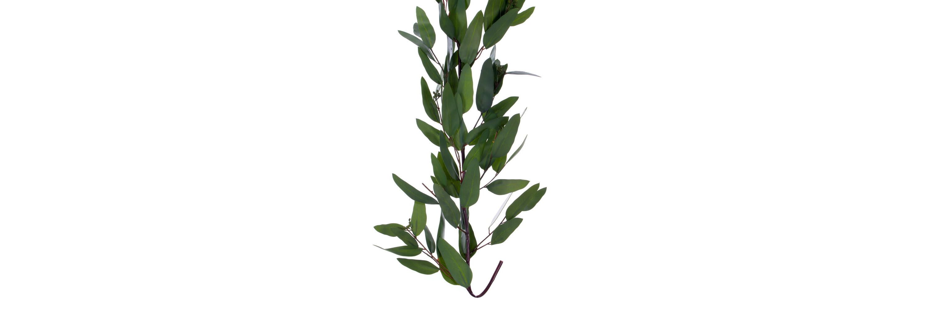 Vickerman 60" Artificial Green Seeded Willow Eucalyptus Garland