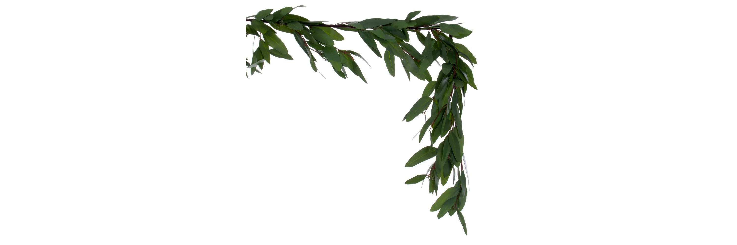 Vickerman 60" Artificial Green Seeded Willow Eucalyptus Garland