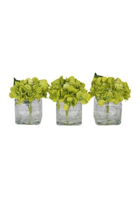 Green Hydrangea in Cubes